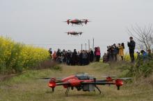 无人机群巡航万亩油菜花田 村淘将“黑科技”撒向农村