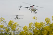 农村淘宝带黑科技进村 一群无人机给万亩油菜花喷洒农药（图集）