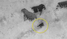 无人机前去探查受伤小象，险些被生气的大象扇飞