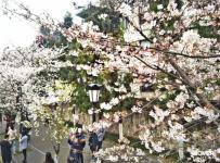 我与春天有个约会，换个角度真正与众不同