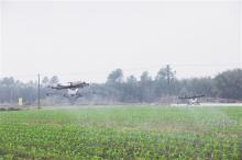 无人机洒农药 一分钟一亩地