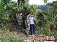 云南江城用无人机24小时跟踪一受伤亚洲小象 及时救助