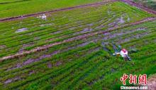 植保无人机助力江西现代农业