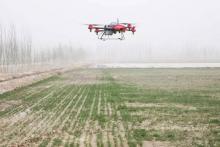 新疆开春了，又到了小伙伴们大展拳脚的时候