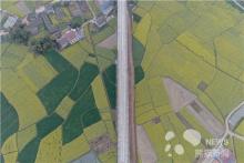 “无人机”鸟瞰西成客专四川段 春光无限好