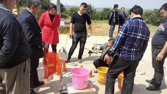 洞口县小型植保无人机上橘园