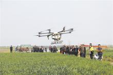 池州无人机为麦田喷洒农药 组织农用无人机操作培训