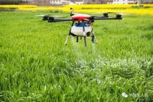 韦加无人机陕西植保喷防演示会，有图有真相