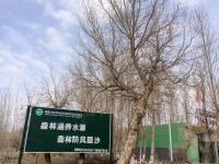 穿越梭梭林，守护大自然——大鹏在行动