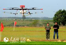 江西：无人机植保撒药 安全降成本