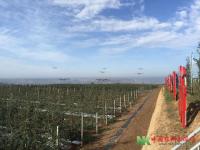 韦加无人机，在植保新时代的天空自由翱翔！