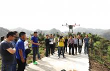 农林大无人机技术助力香榧授粉