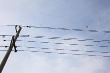 舞阳供电公司无人机巡线轻松除安全隐患