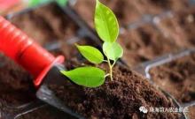 植保无人机改变传统农业有哪些方式？