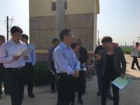 安阳开展小麦病虫害统防统治 出动400余架无人机“飞防”作业