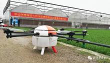 银通无人机，再次成为中山市水稻统防统治的保障