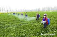 珠海羽人：农用无人机喷洒农药再也不麻烦了！