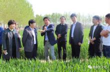 农业航空植保迎来百万亩订单时代！