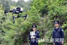雷公山用无人机巡护森林资源