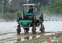 无人机加入生产大军 南方稻油推进全过程机械化水平