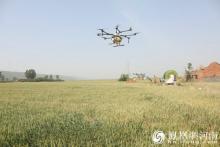 科技服务“三农”无人机植保助力小麦“一喷三防”