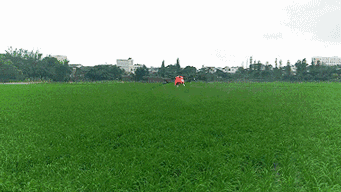 春耕植保忙，银通无人机助农保丰收