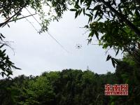 国网福建三明供电公司：无人机助力机场雷达站专供线路建设