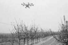 无人机作业 vs 人工打药，老刘父子的比拼谁赢了？