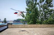 植保无人机空中喷药助槐树杀虫