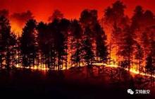 深挖智能消防市场，牵手百亿市值经销商