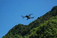 林业管理局用无人机勘测古树名木群边界区划