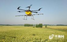 费县上冶镇：无人机飞防小麦条锈病两万余亩
