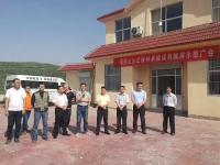 高杆，密度大作物一样打得透！这60万亩桃林，13万亩烟草都要用飞防了