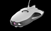 别再和我讲无人机，过时了！现在，鲨鱼都能和水下无人机啪啪啪！