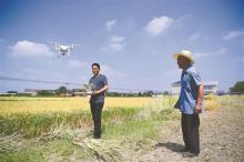 秸秆“双禁”用上无人机