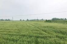 他从支付宝上租了架飞机，回乡创业了