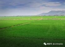 无人机单兵作战，农险巡检新方案