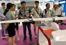 大鹏东南飞，一“网”情深