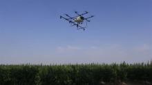 无人机植保是农业爆发点 但技术可以普及吗？