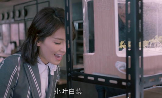 如何像《欢乐颂2》里安迪一样优雅的在家种菜？ ——2017南京国际智慧农业展览将开展“都市趣味农业展卖会”