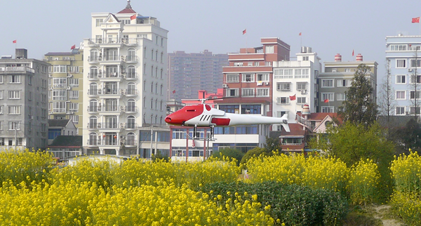 170ccL型 双缸汽油直升机