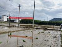 江西铜鼓举行无人机操作及水稻机插现场演示