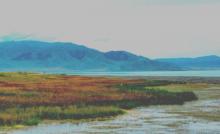 为什么别人总能拍出大片效果？4款修图app告诉你真相