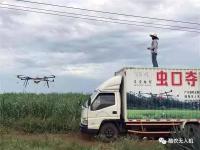 天气对农药喷施的影响及后续防治工作