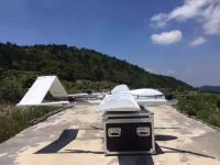 大鹏支招：如何做到“人见人爱花见花开”？