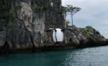 超过3条，证明你该出去旅行了