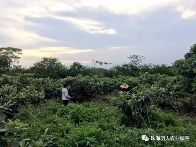 病虫害爆发迅速，农用无人机飞入田间地头杀菌防虫保增收！
