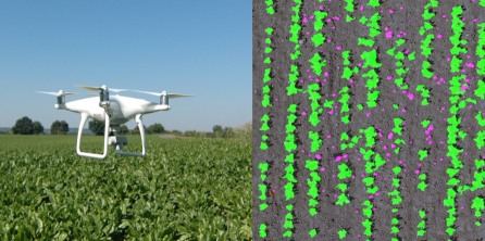 杂草哪里逃，无人机来搞！