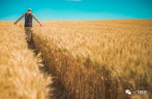 一飞智控成立两周年给植保队和整机厂商的献礼：如何云中掌乾坤