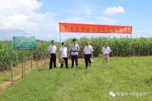 虫口夺粮飞防服务惠州巡演进行中！